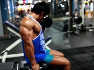 asiatische Muskel